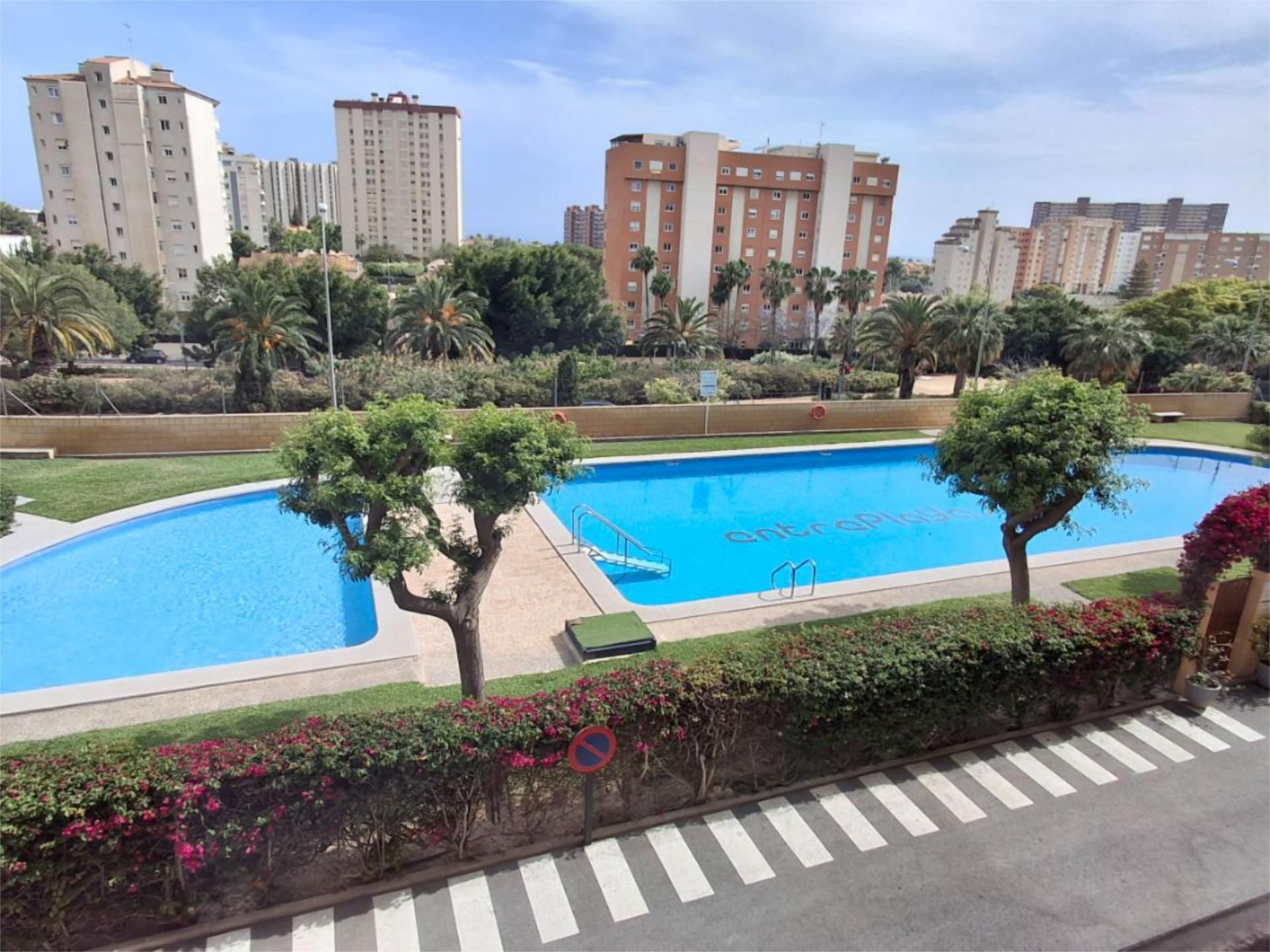 Swimming pool of Flat to rent in Alicante / Alacant  with Terrace, Swimming Pool and Furnished