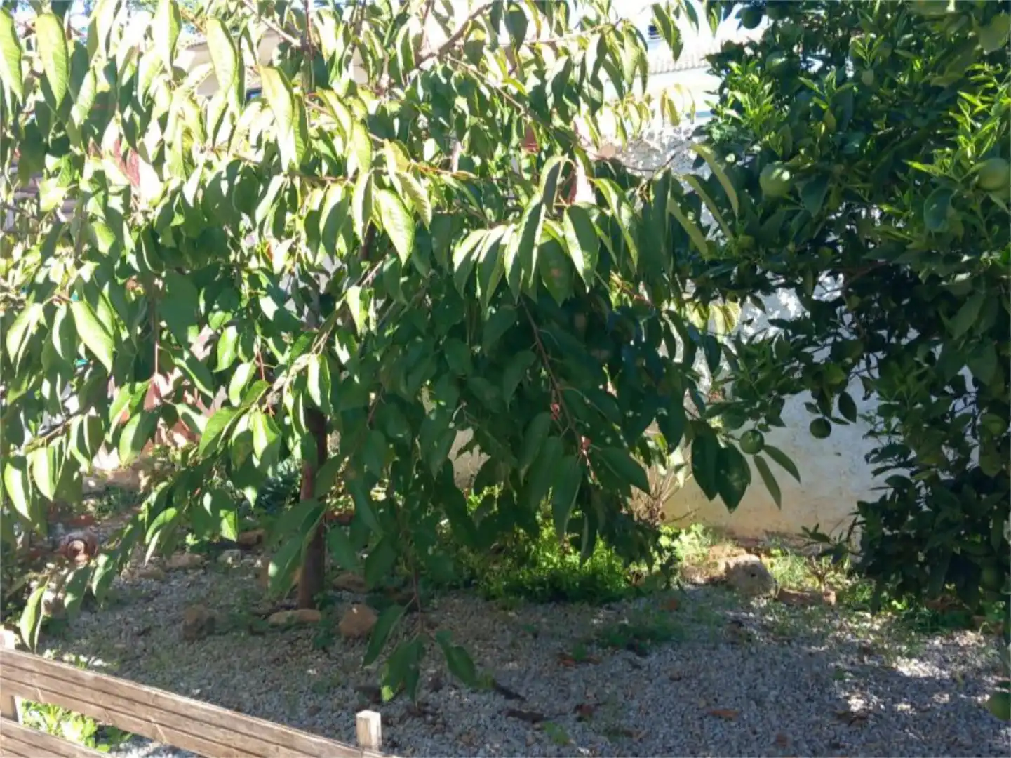 Wohnung zum Verkauf in Carrer París, 62, Piera Wohnung zum Verkauf in Piera mit Klimaanlage, Privatgarten und Terrasse