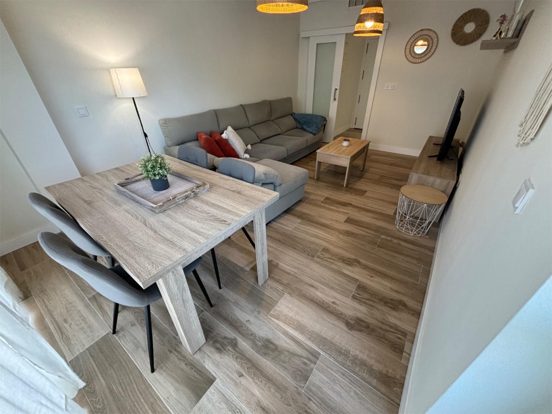 Sala d'estar de Pis de lloguer en Alicante / Alacant