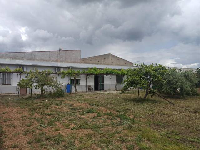 Finca rústica en Venta en Calle Hermanos Machado, 2 en San Bartolomé de las Abiertas