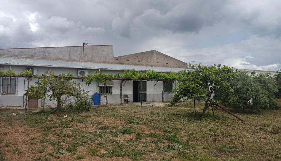 Photo 1 of Country house for sale in Calle Hermanos Machado, 2, San Bartolomé de las Abiertas, Toledo