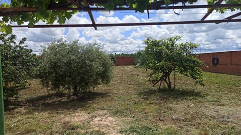 Finca rústica en venda a Calle Hermanos Machado, 2, San Bartolomé de las Abiertas, Toledo - imatge 3 Foto 3 de Finca rústica en venda a Calle Hermanos Machado, 2, San Bartolomé de las Abiertas, Toledo