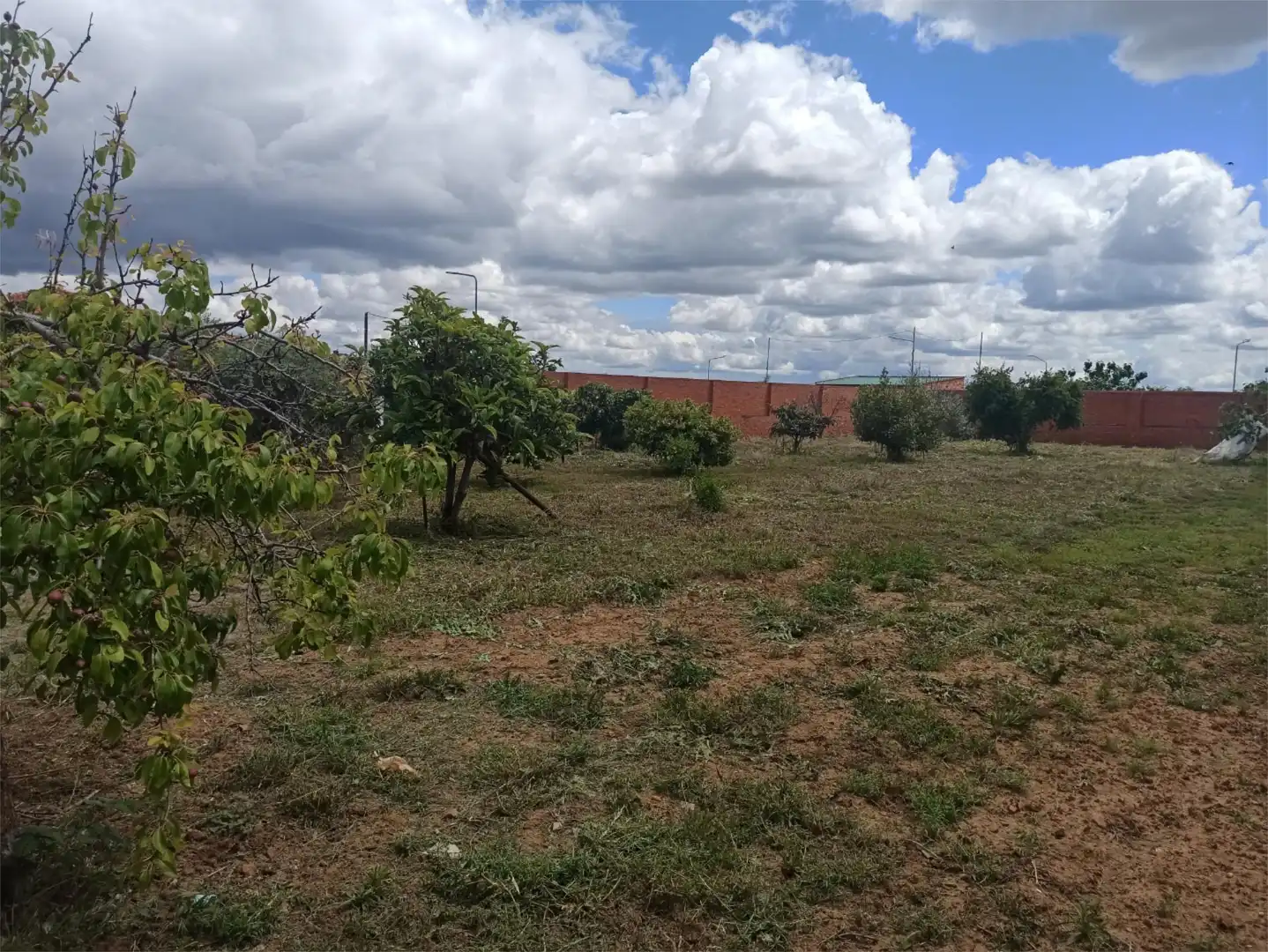 Finca rústica en venta en Calle Hermanos Machado, 2, San Bartolomé de las Abiertas Finca rústica en venta en San Bartolomé de las Abiertas con Aire acondicionado, Calefacción y Jardín privado
