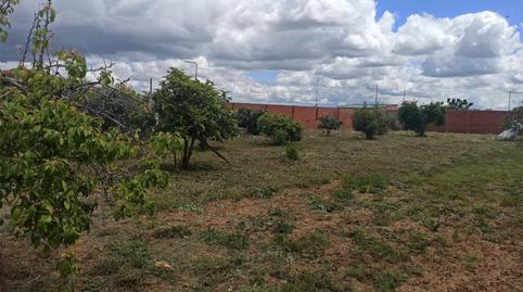 Finca rústica en venda a Calle Hermanos Machado, 2, San Bartolomé de las Abiertas, Toledo - imatge 4 Foto 4 de Finca rústica en venda a Calle Hermanos Machado, 2, San Bartolomé de las Abiertas, Toledo