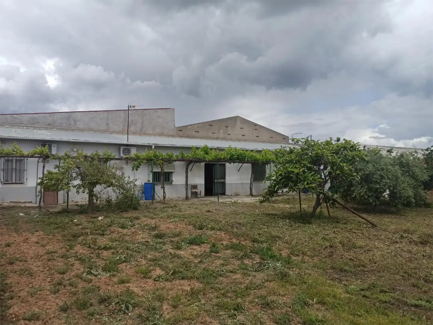 Finca rústica en venta en Calle Hermanos Machado, 2, San Bartolomé de las Abiertas Vista exterior de Finca rústica en venta en San Bartolomé de las Abiertas con Aire acondicionado, Calefacción y Jardín privado