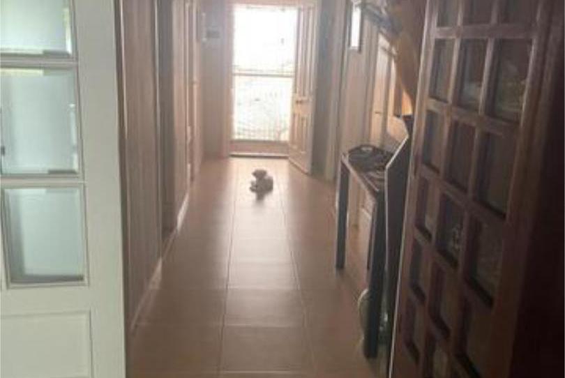 Foto 1 de Casa o xalet en venda a Pla de Bon Repós, Alicante