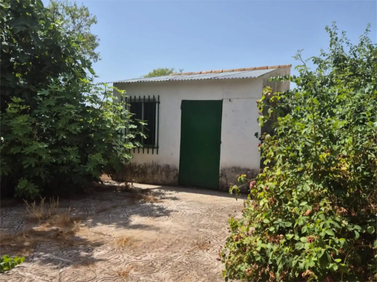 Flat for sale in Calle Solidaridad, Villanueva de la Fuente Exterior view of Flat for sale in Villanueva de la Fuente with Heating, Private garden and Terrace