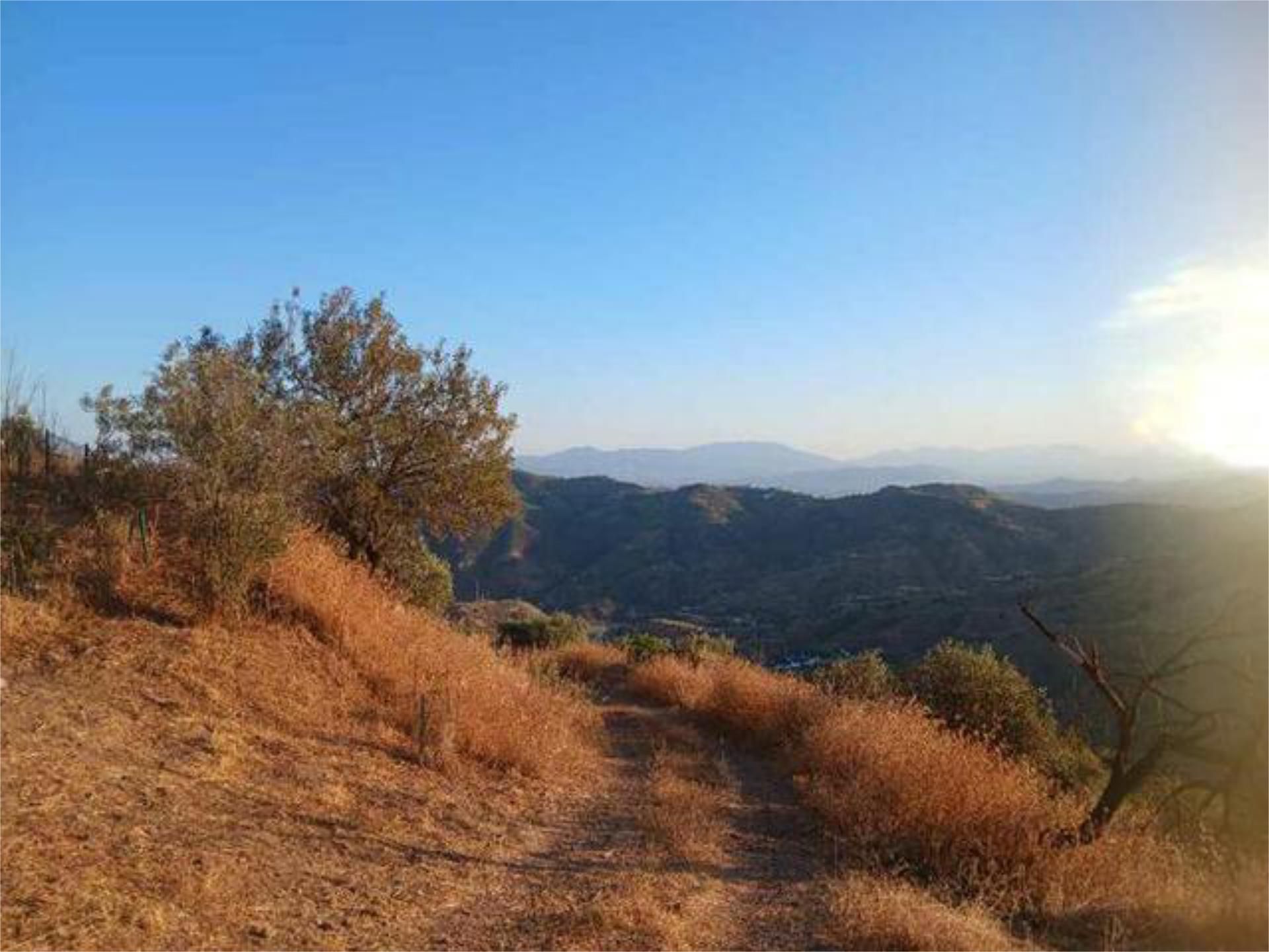 Exterior view of House or chalet for sale in Málaga Capital  with Swimming Pool