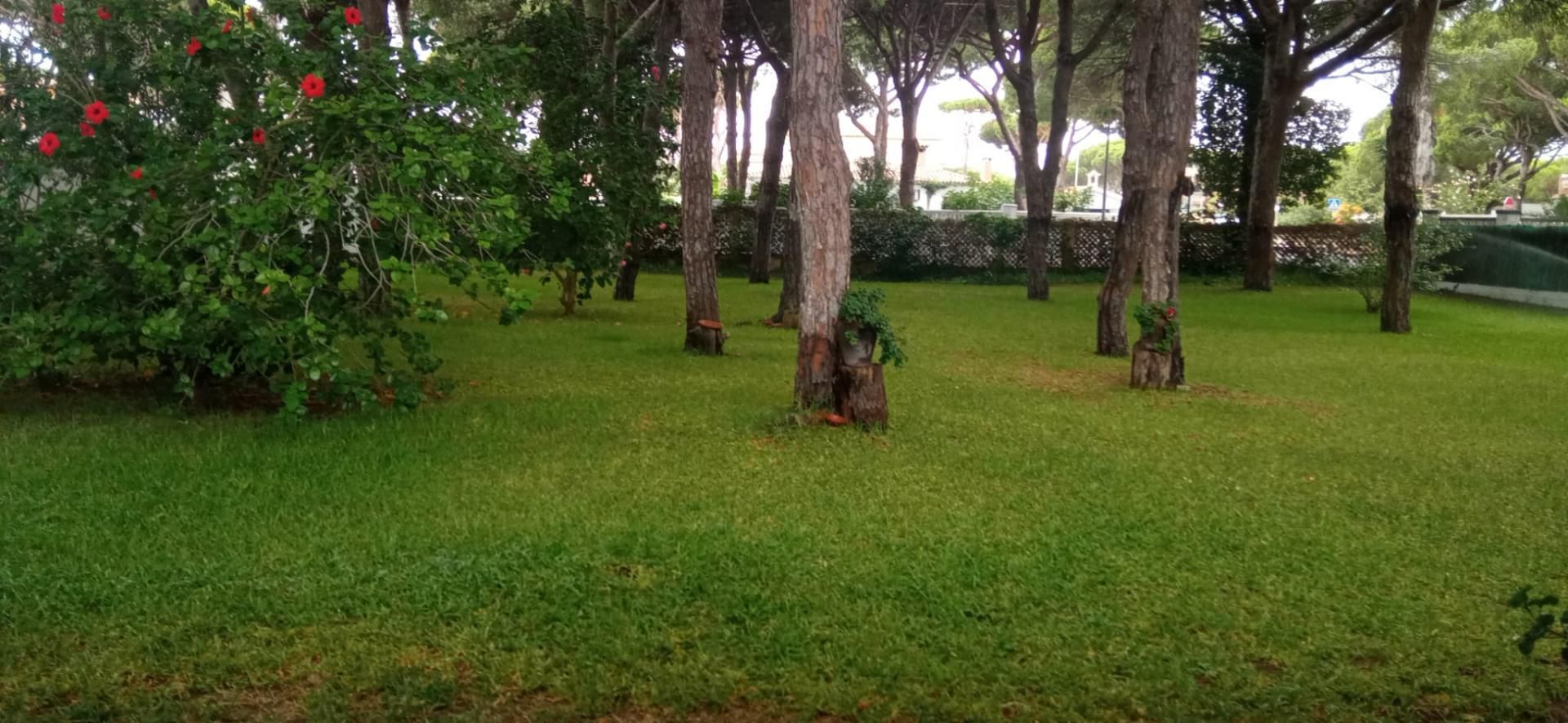 Jardí de Casa o xalet de lloguer en Chiclana de la Frontera amb Jardí privat, Parquet i Traster