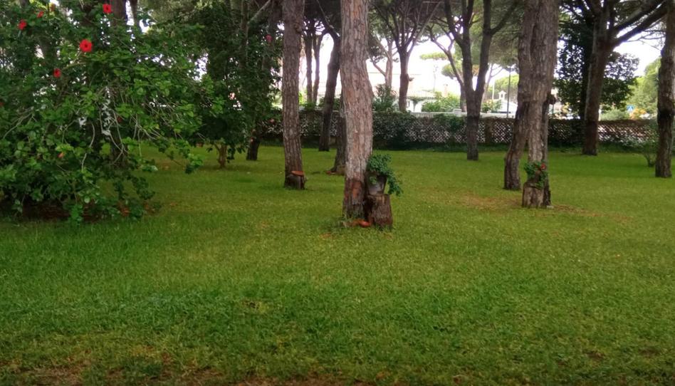 Foto 1 de Casa o xalet de lloguer a Calle la Urta, 8a, La Barrosa, Cádiz