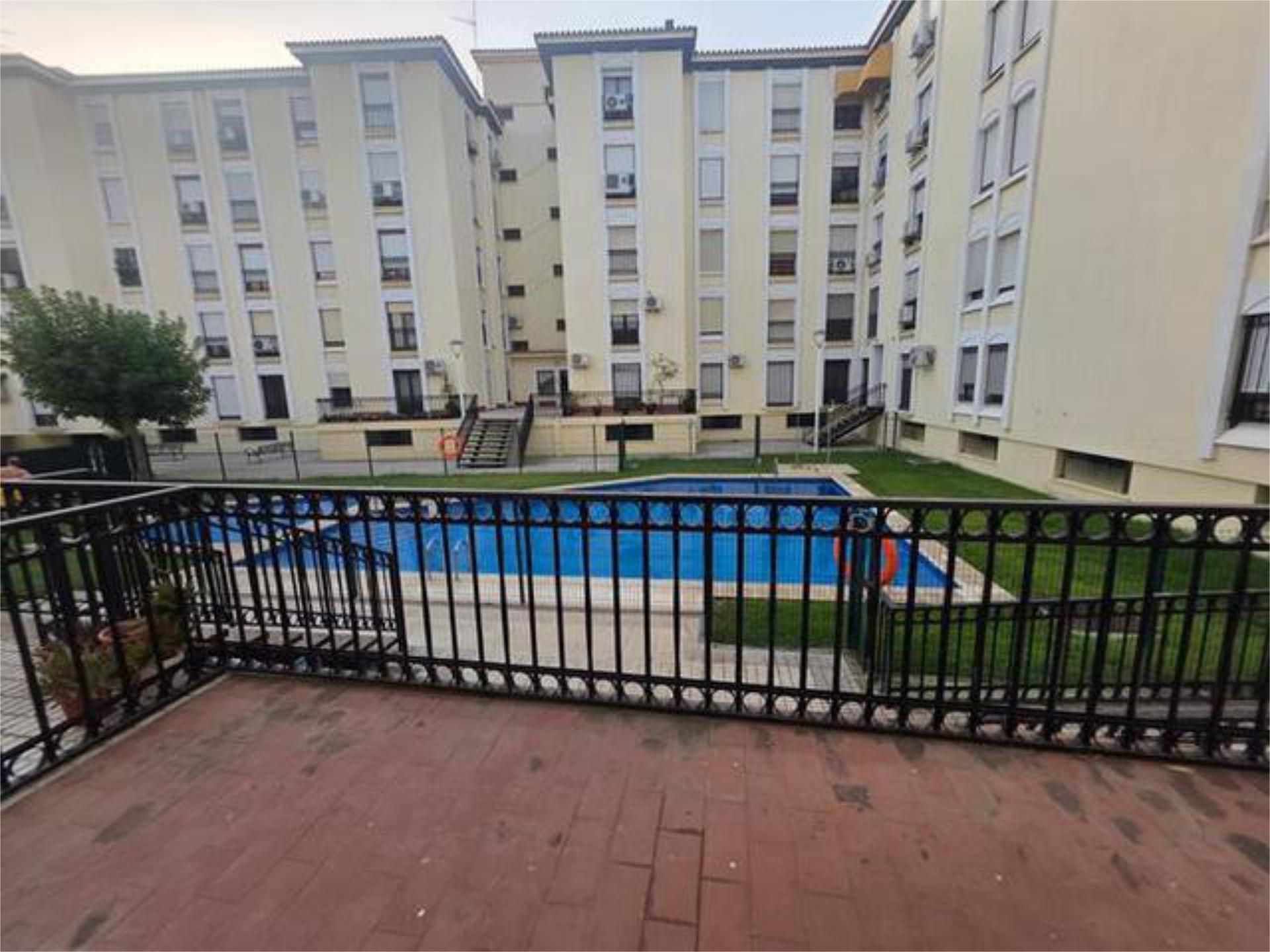 Flat to rent in Centro