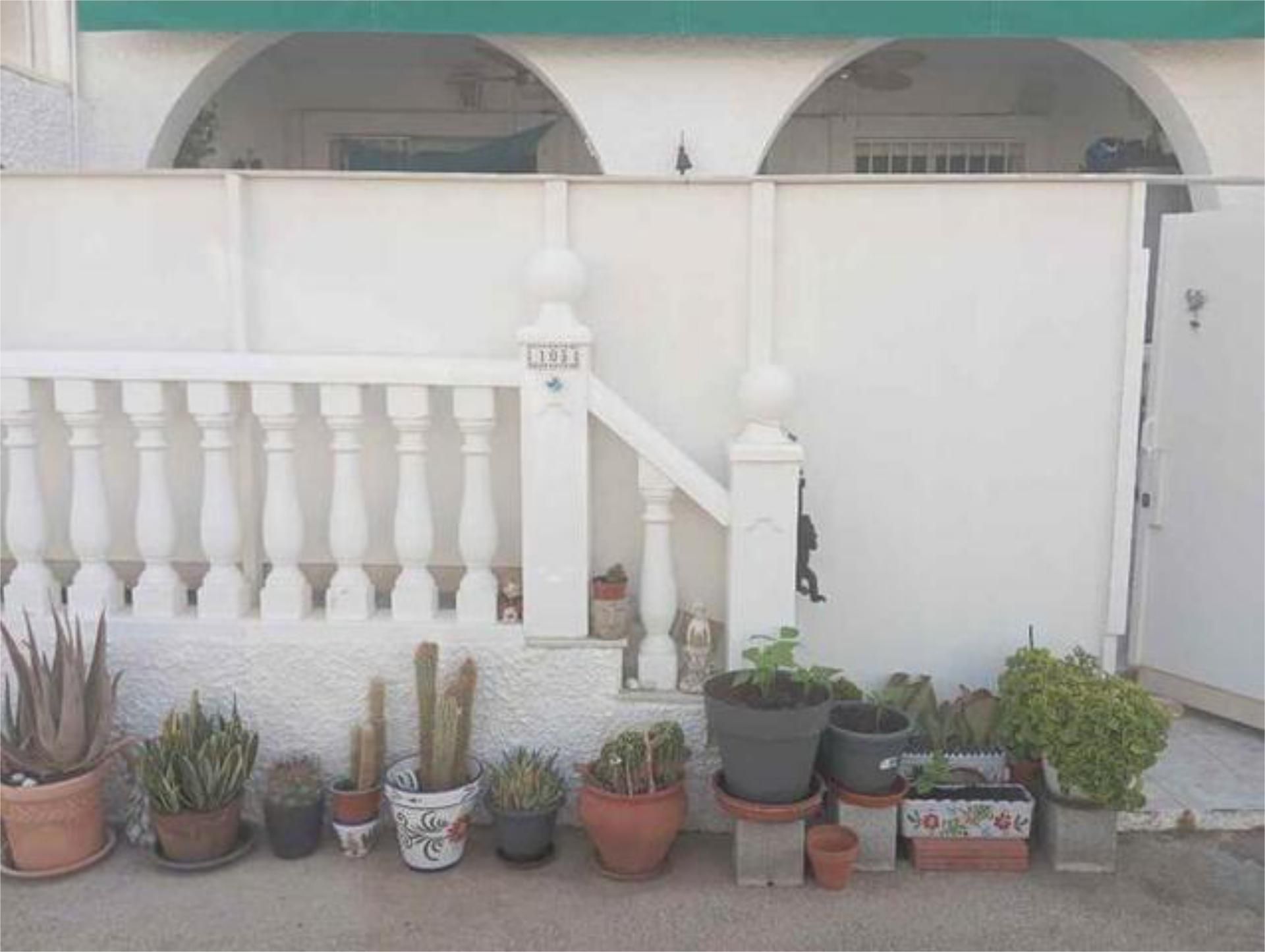 Garden of House or chalet for sale in Guardamar del Segura  with Terrace and Swimming Pool