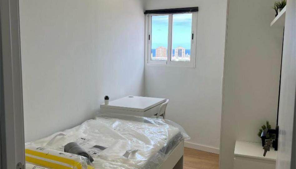 Flat to share in Calle Milagro, 14, Miller, Las Palmas de Gran Canaria - image 1 Photo 1 of Flat to share in Calle Milagro, 14, Miller, Las Palmas de Gran Canaria