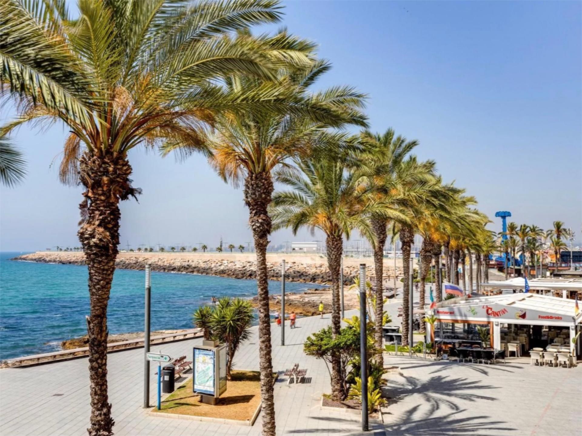 Vista exterior de Pis en venda en Torrevieja amb Aire condicionat, Terrassa i Piscina