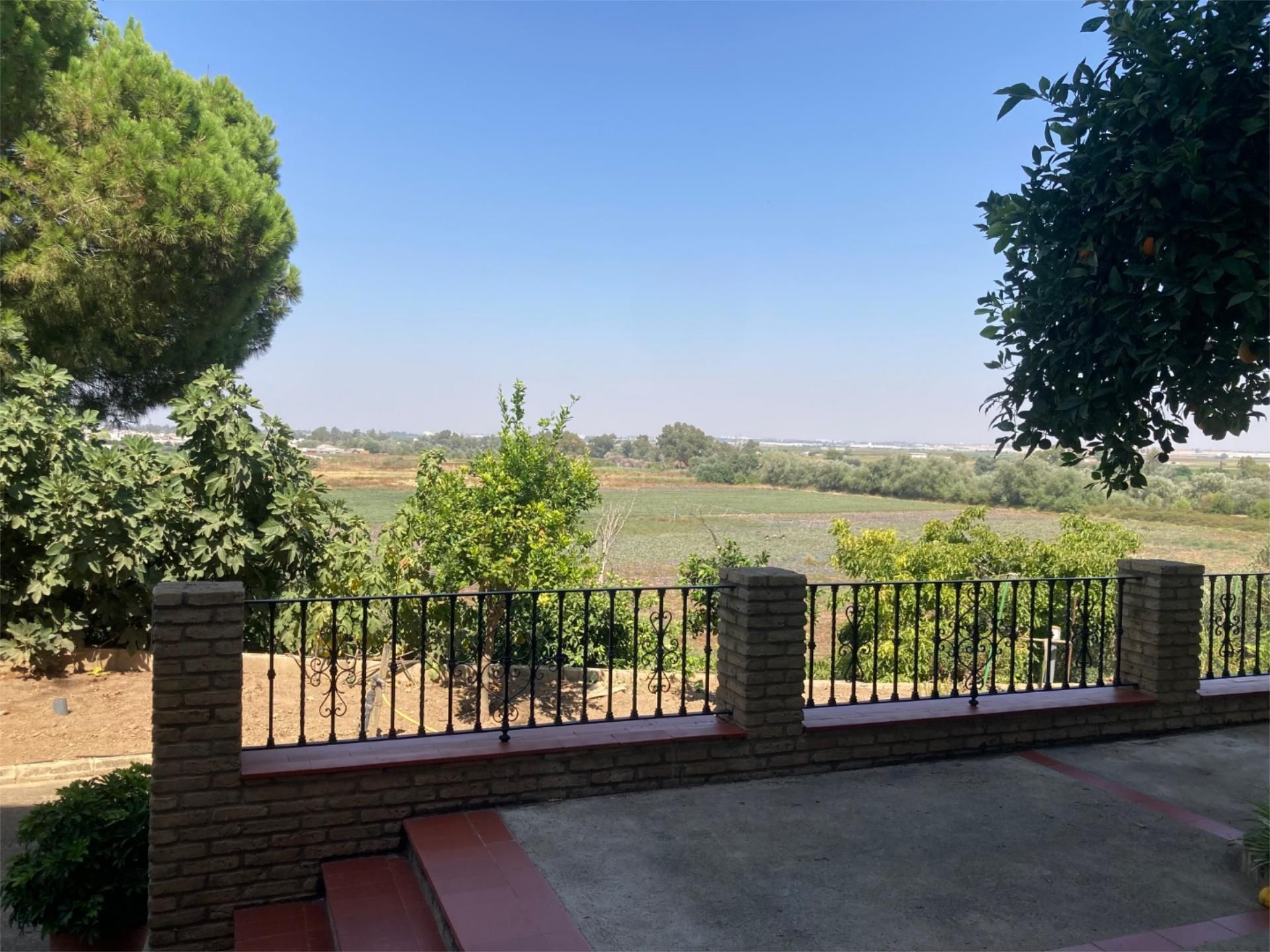 Garden of Flat for sale in La Puebla del Río
