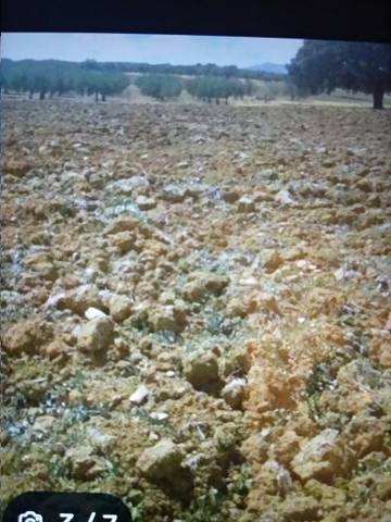 Terreno en Venta en Calle Virgen de Guadalupe, 16 en Talarrubias