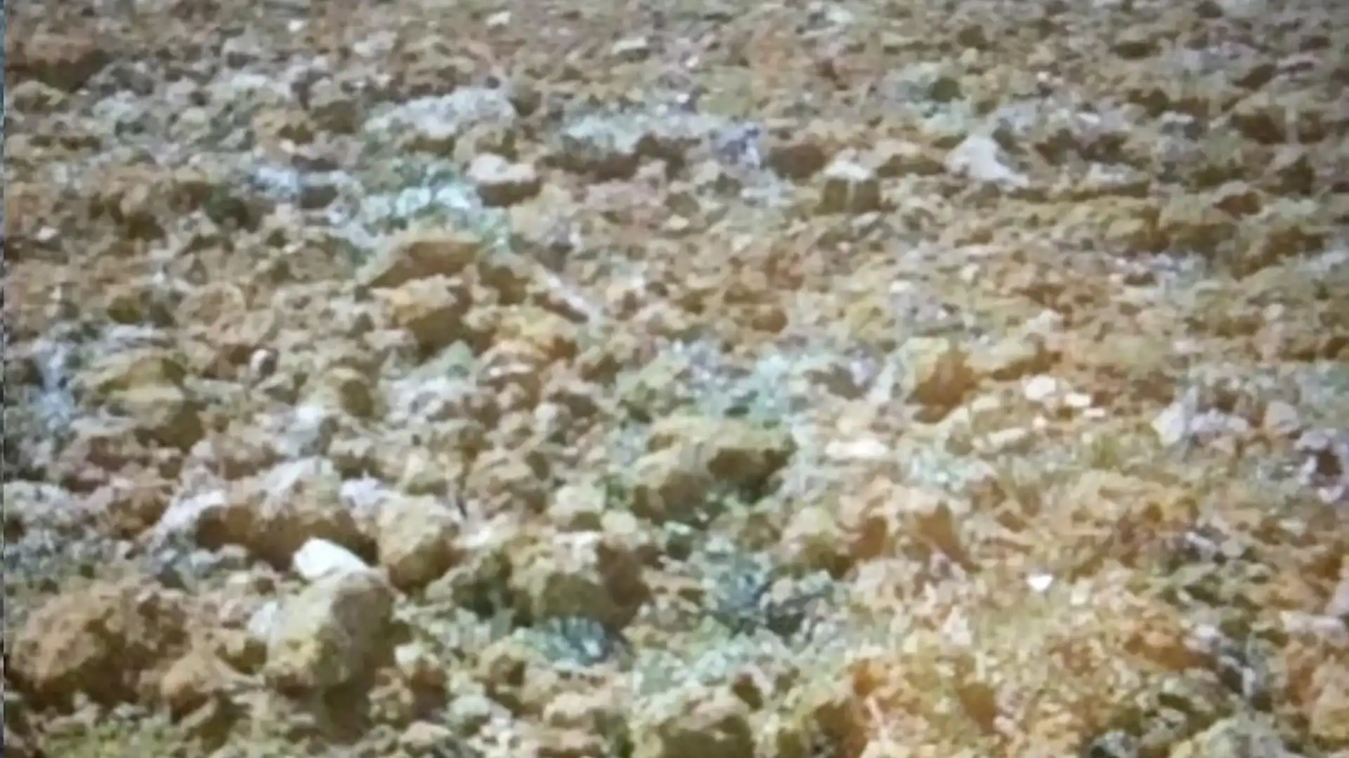 Vista exterior de Terreno en venta en Talarrubias