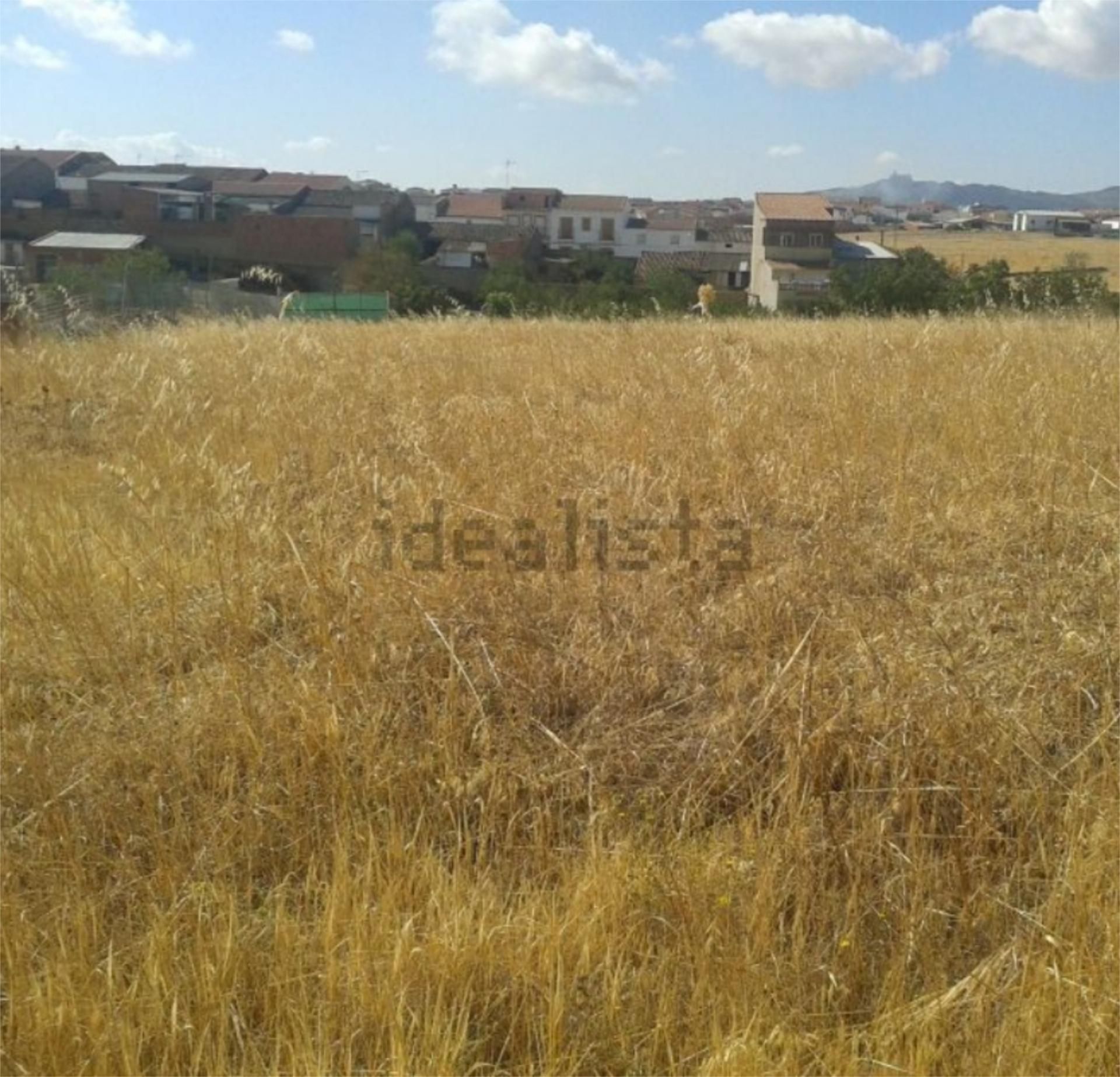Land for sale in Talarrubias