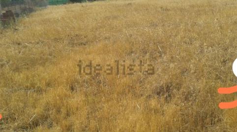 Foto 2 de Terreny en venda a Calle C, 12, Talarrubias, Badajoz