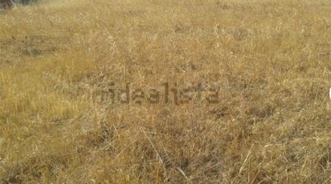 Foto 3 de Terreny en venda a Calle C, 12, Talarrubias, Badajoz