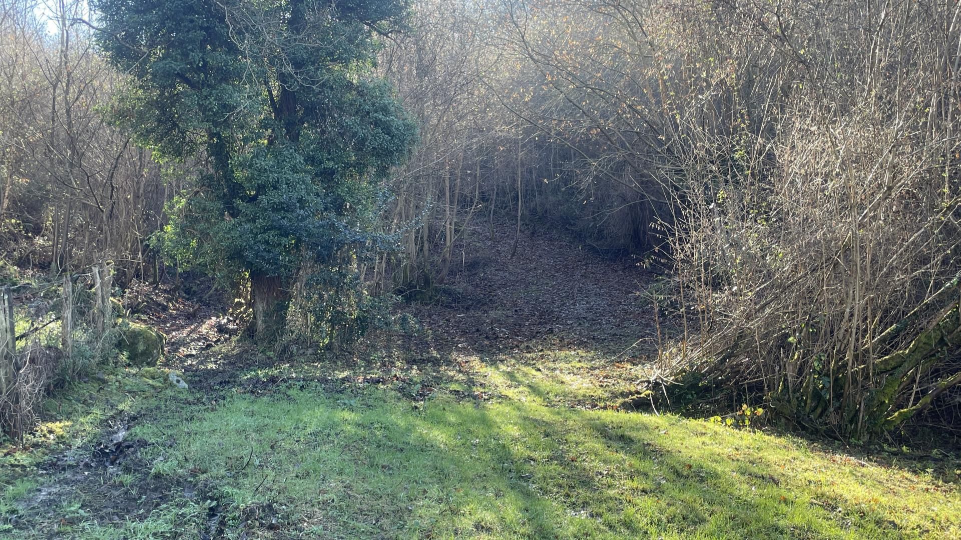 Finca rústica de lloguer en Siero