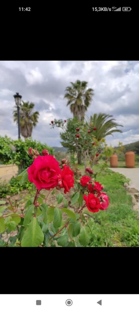 Garden of Country house to rent in Alcuéscar  with Air Conditioner, Heating and Private garden