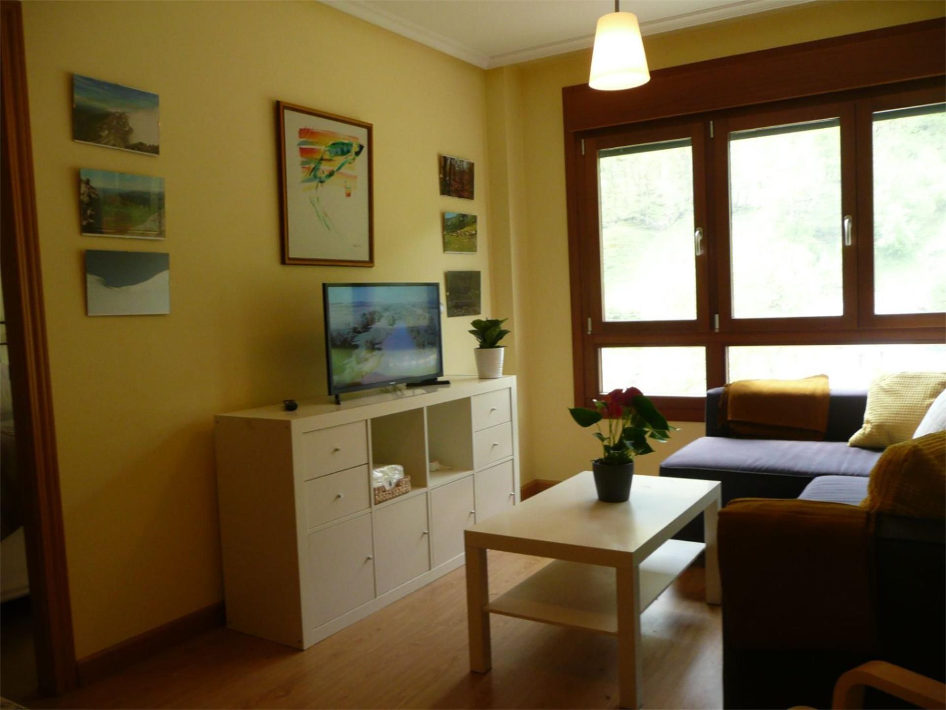 Living room of Flat to rent in Aller  with Heating, Parquet flooring and Furnished