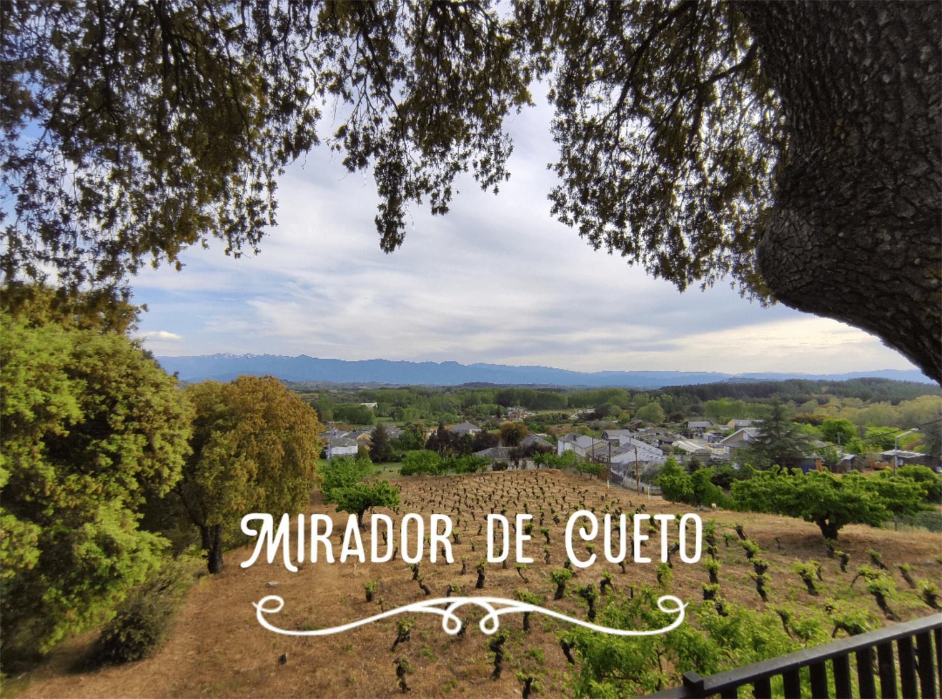 Vista exterior de Terreno en venta en Sancedo