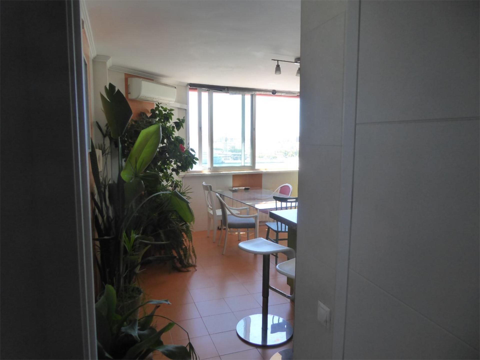 Piso de alquiler en Calle Reding, 8, La Malagueta - Monte Sancha