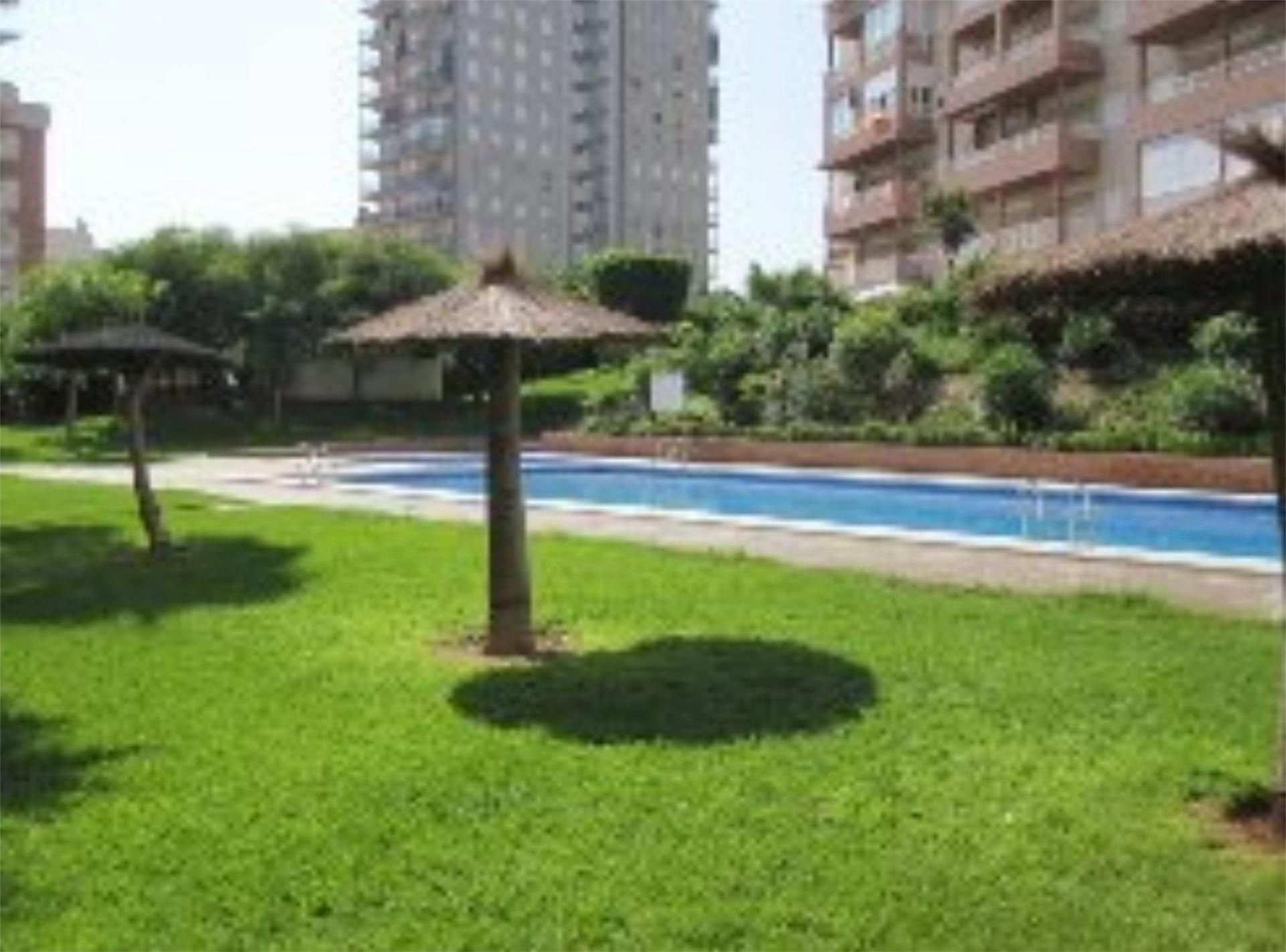 Swimming pool of Apartment to rent in Elche / Elx  with Air Conditioner, Terrace and Furnished
