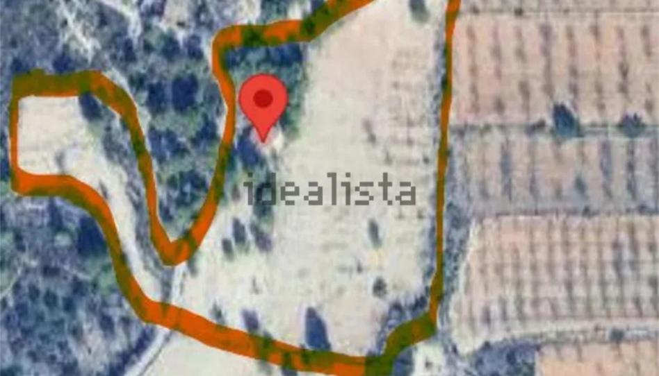 Finca rústica en venda a Diseminado P002, 212, Urbanizaciones, Valencia - imatge 1 Foto 1 de Finca rústica en venda a Diseminado P002, 212, Urbanizaciones, Valencia