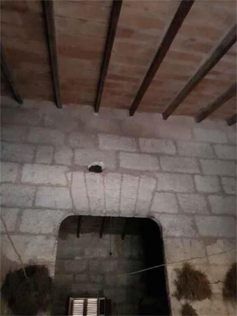 Casa o xalet en venda en Son Servera
