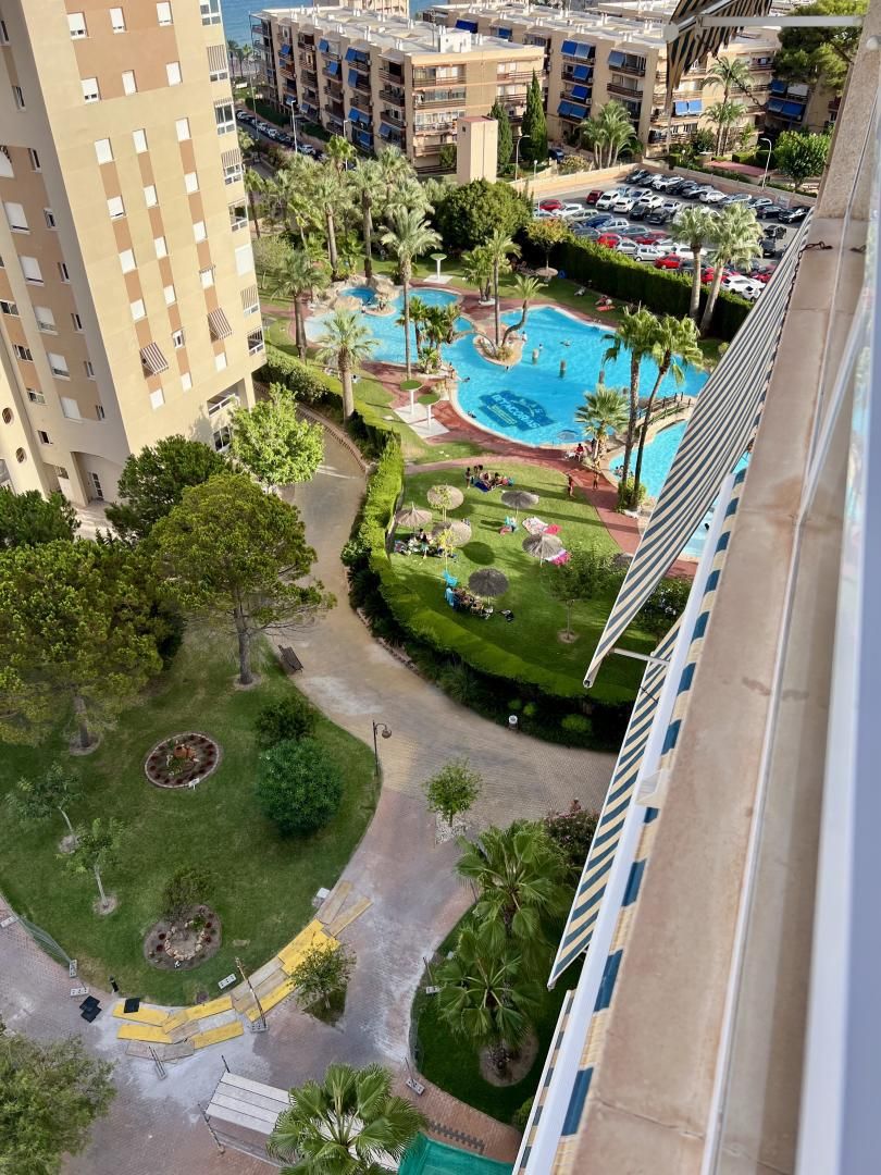 Piscina de Pis en venda en El Campello amb Aire condicionat, Calefacció i Jardí privat