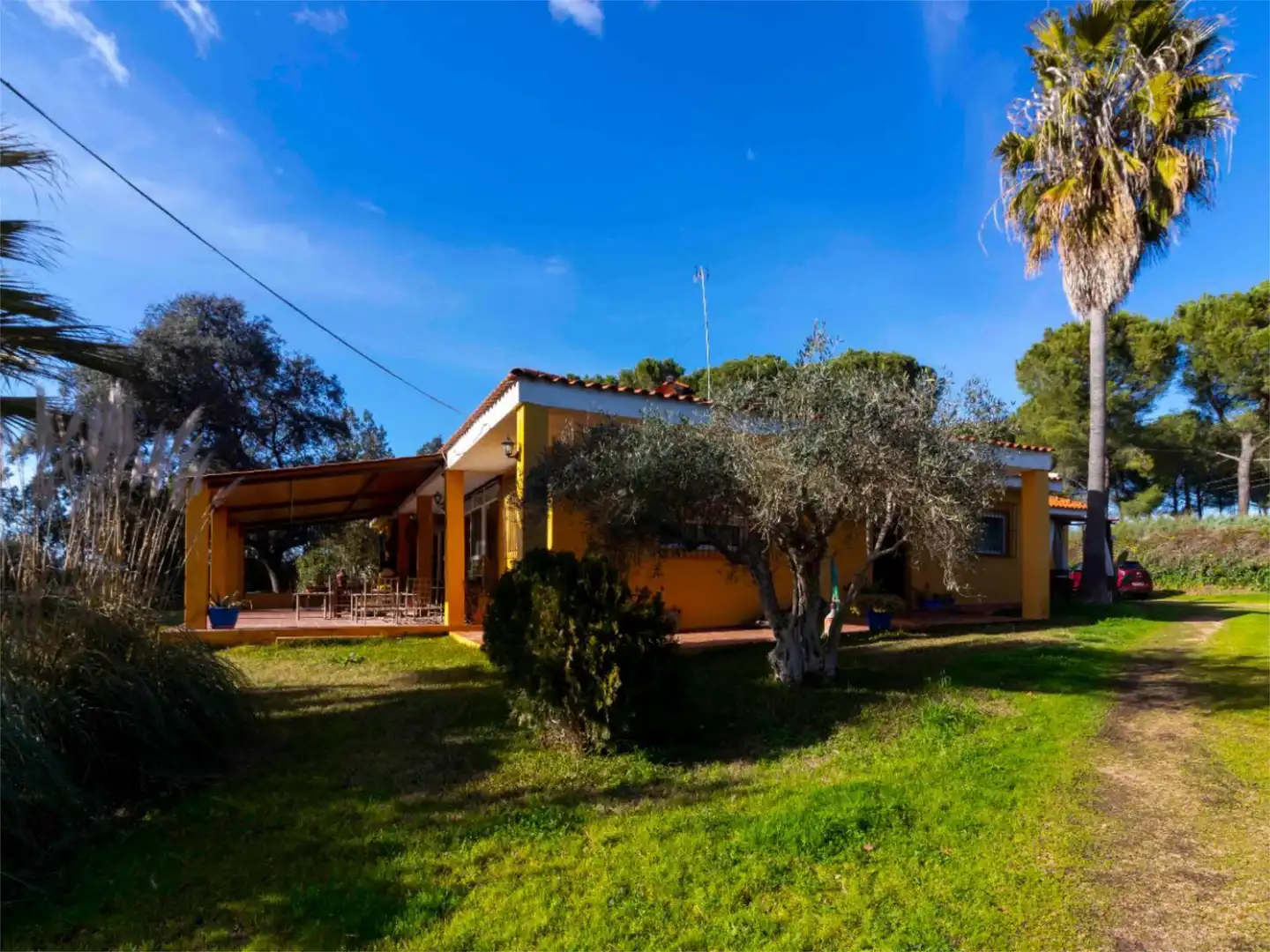 Casa o xalet en venda a Carretera de Sevilla, 9, Carretera de Sevilla - Los Montitos Jardí de Casa o xalet en venda en Badajoz amb Aire condicionat, Calefacció i Jardí privat
