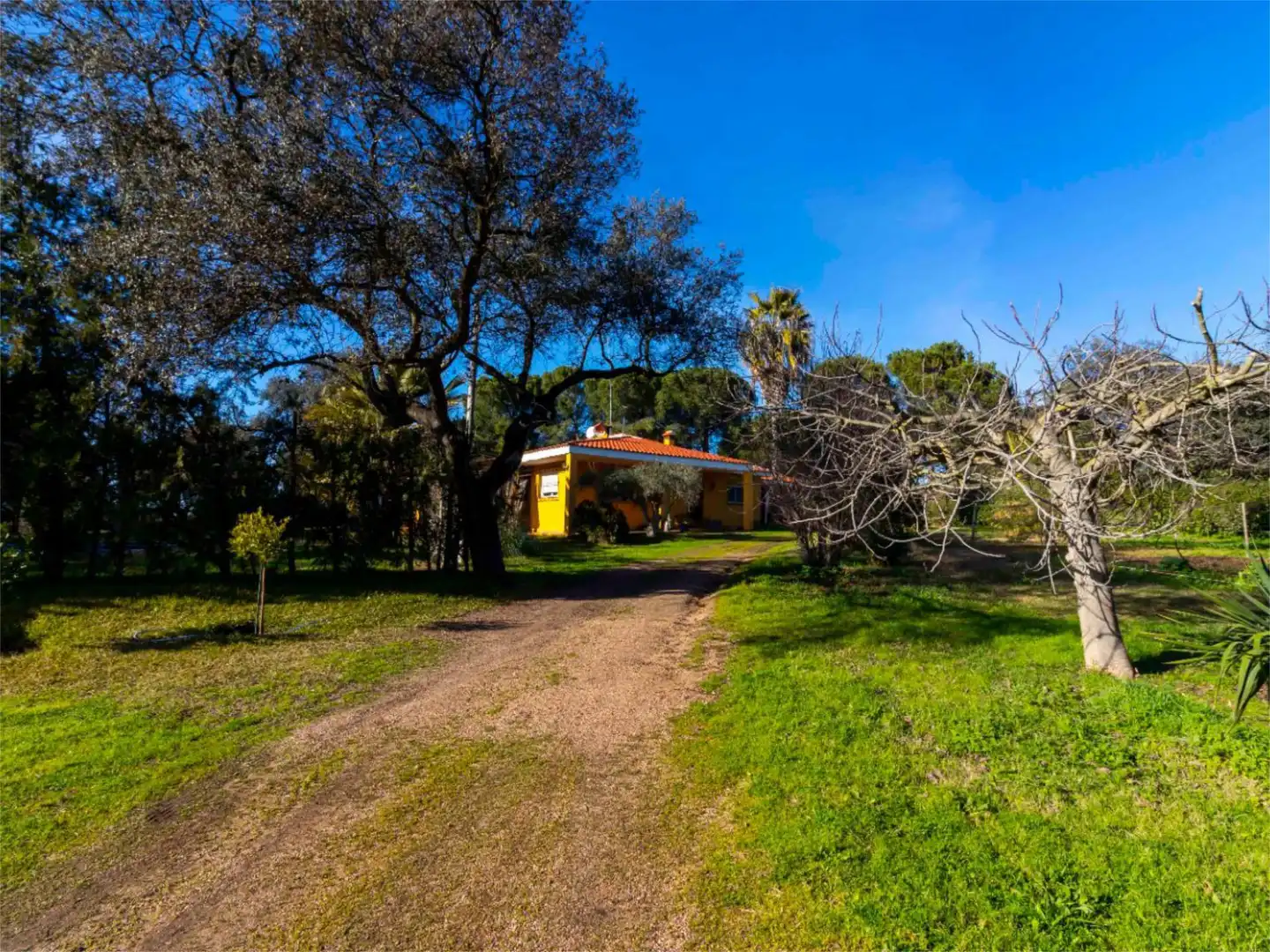 Casa o xalet en venda a Carretera de Sevilla, 9, Carretera de Sevilla - Los Montitos Vista exterior de Casa o xalet en venda en Badajoz amb Aire condicionat, Calefacció i Jardí privat