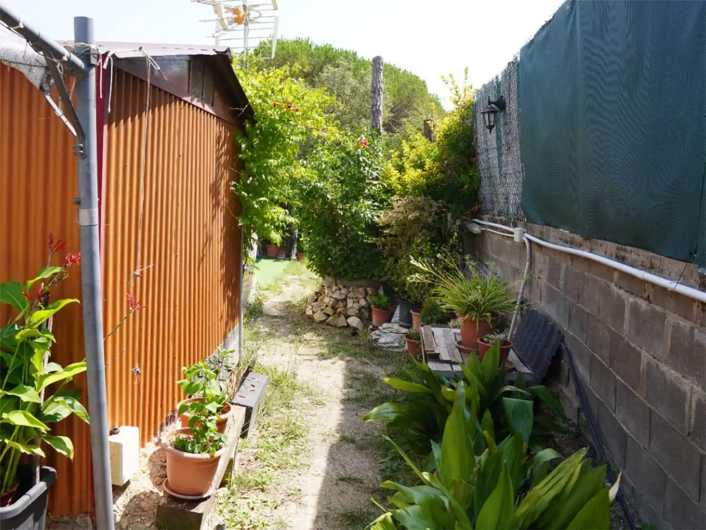 Country homes for sale in Caldes de Malavella Garden of Country homes for sale in Caldes de Malavella