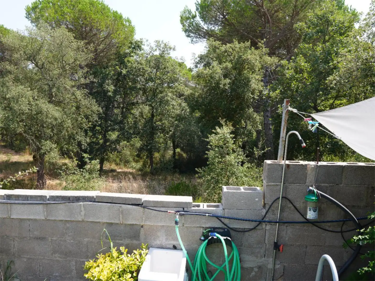 Country homes for sale in Caldes de Malavella Garden of Country homes for sale in Caldes de Malavella