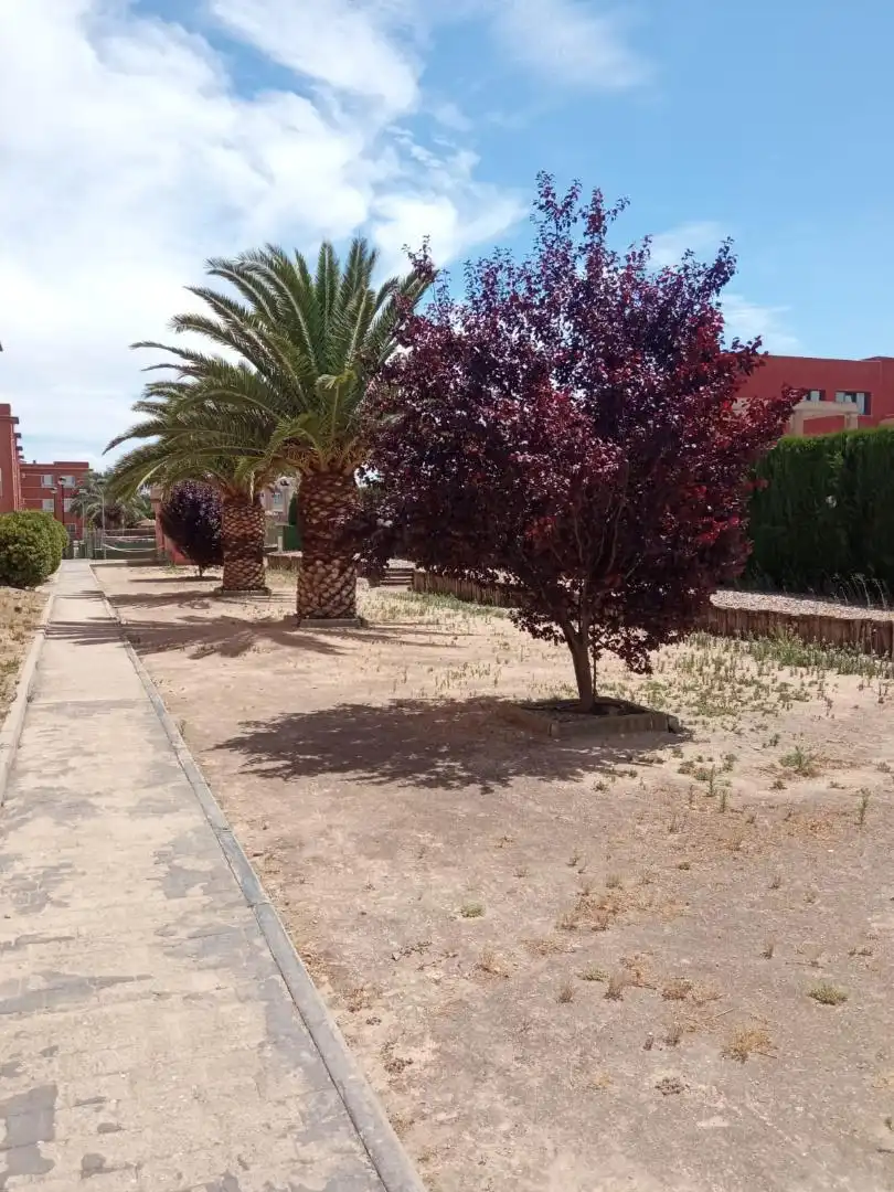 Piso de alquiler en Avenida de los Descubrimientos, 7, Puerta de Toledo - Atalaya Piso de alquiler en Avenida de los Descubrimientos, 7, Puerta de Toledo - Atalaya