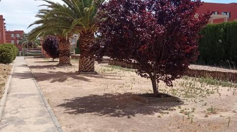 Pis de lloguer a Avenida de Los Descubrimientos, 7, Puerta de Toledo - Atalaya, Ciudad Real - imatge 3 Foto 3 de Pis de lloguer a Avenida de Los Descubrimientos, 7, Puerta de Toledo - Atalaya, Ciudad Real