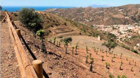 Single-family semi-detached for sale in Macharaviaya, Málaga - image 5 Photo 5 of Single-family semi-detached for sale in Macharaviaya, Málaga