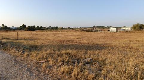 Foto 4 de Finca rústica en venda a Urbanización Santa Elo, 4, Arahal, Sevilla