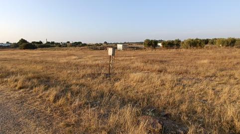 Foto 5 de Finca rústica en venda a Urbanización Santa Elo, 4, Arahal, Sevilla