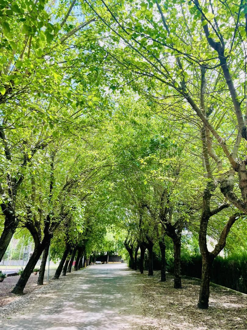Vista exterior de Pis de lloguer en  Jaén Capital amb Aire condicionat, Calefacció i Jardí privat