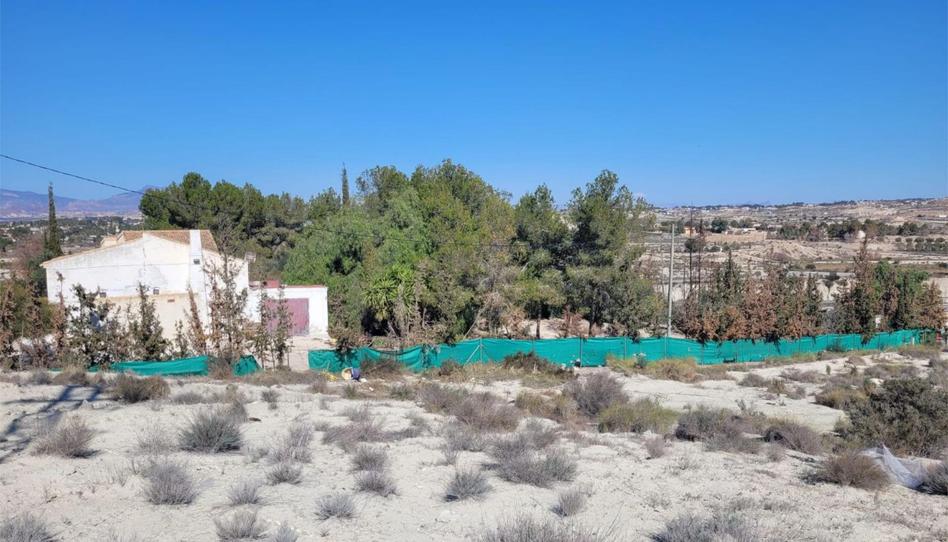 Finca rústica en venda a Camino del Panderón, 1, Fátima - El Panderón, Murcia - imatge 1 Foto 1 de Finca rústica en venda a Camino del Panderón, 1, Fátima - El Panderón, Murcia