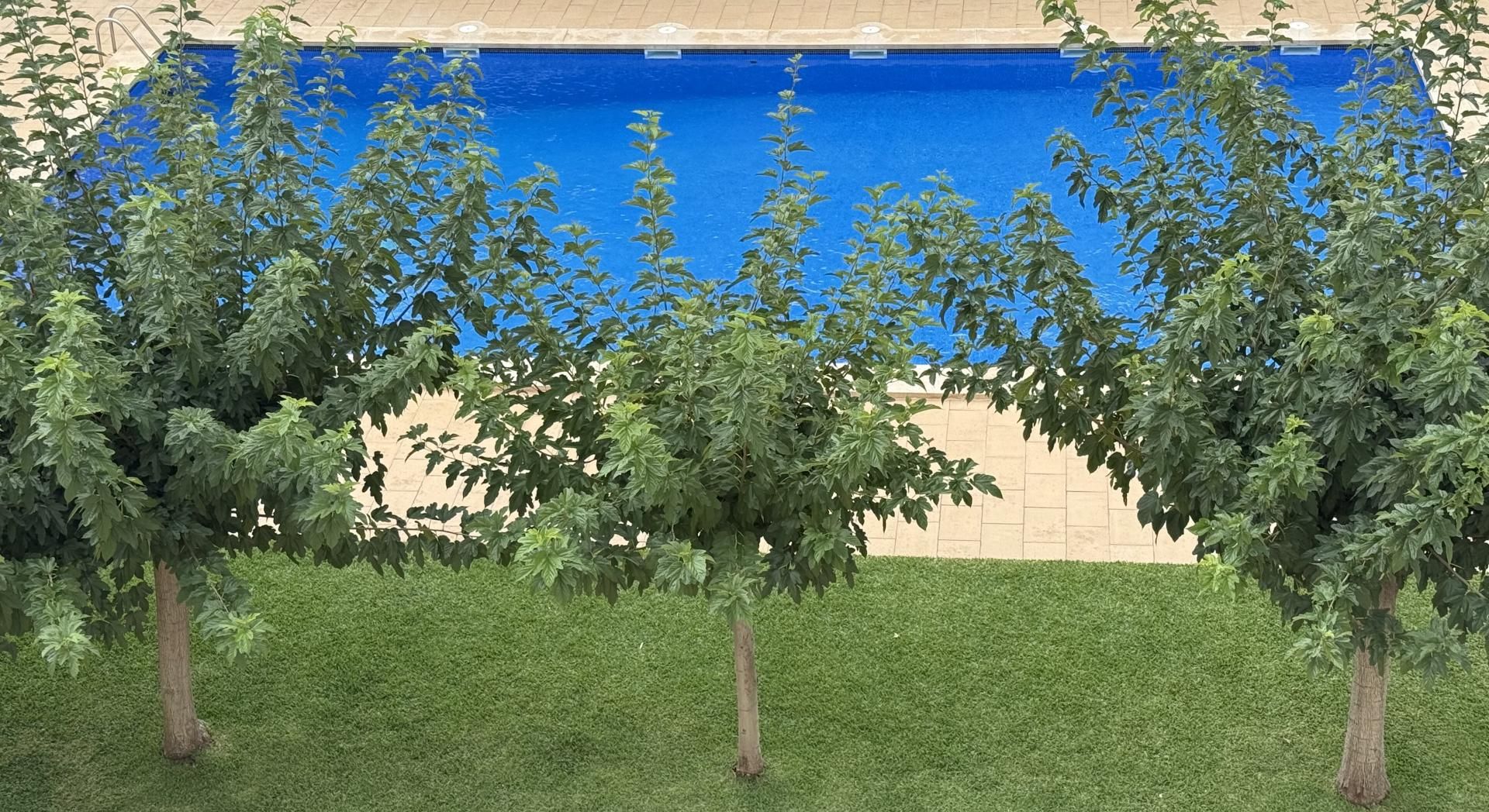 Piscina de Piso en venta en  Palma de Mallorca con Aire acondicionado, Calefacción y Jardín privado
