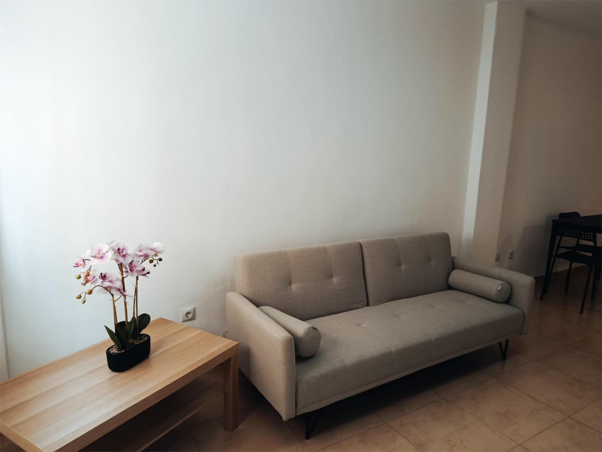 Living room of Flat to rent in  Murcia Capital  with Heating and Furnished