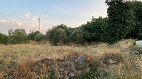 Foto 2 de Finca rústica en venda a Plaza Dos de Mayo, 10, Burguillos del Cerro, Badajoz