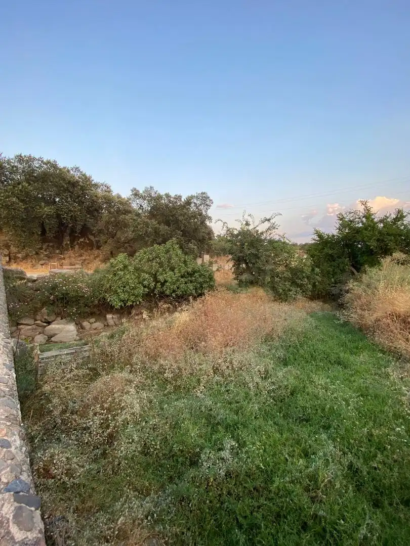Finca rústica en venda a Plaza Dos de Mayo, 10, Burguillos del Cerro Finca rústica en venda en Burguillos del Cerro amb Jardí privat