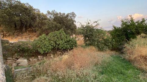 Foto 5 de Finca rústica en venda a Plaza Dos de Mayo, 10, Burguillos del Cerro, Badajoz
