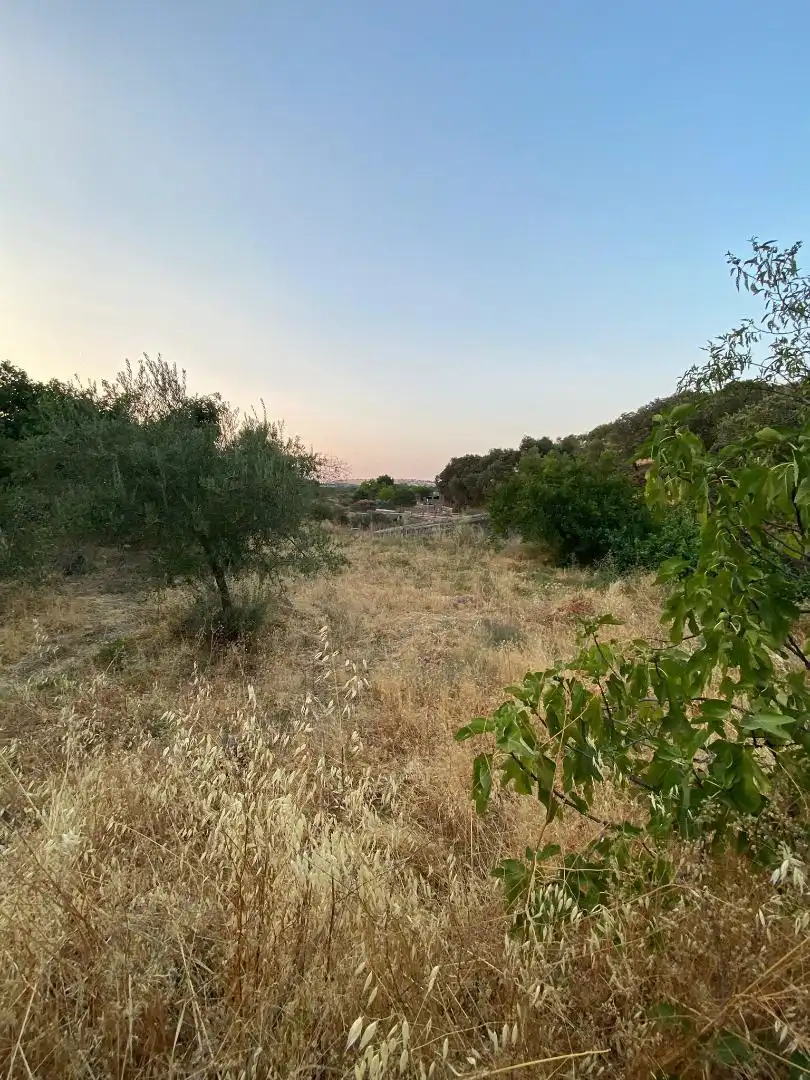 Finca rústica en venda a Plaza Dos de Mayo, 10, Burguillos del Cerro Finca rústica en venda en Burguillos del Cerro amb Jardí privat